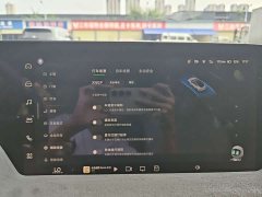 XPeng P7 P7i 702 Max - ფოტო 16