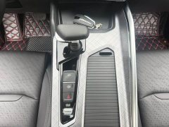 Geely Xingrui 2.0T Diesel Luxury - ფოტო 15