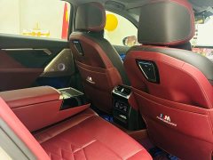 BMW 5 Series 530Li Luxury Edition Premium Package - ფოტო 10