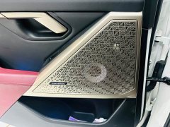 BMW 5 Series 530Li Luxury Edition Premium Package - ფოტო 13