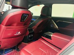 BMW 5 Series 530Li Luxury Edition Premium Package - ფოტო 9