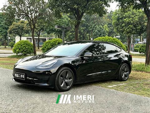 2021 Tesla Model 3 Facelift Standard Range RWD Upgrade 3D1