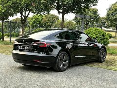 Tesla Model 3 Facelift Standard Range RWD Upgrade 3D1 - ფოტო 11