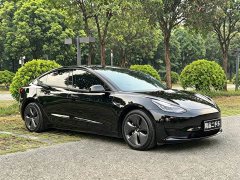 Tesla Model 3 Facelift Standard Range RWD Upgrade 3D1 - ფოტო 2