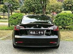 Tesla Model 3 Facelift Standard Range RWD Upgrade 3D1 - ფოტო 9