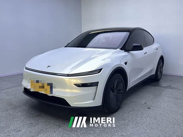 Tesla Model Y Rear-Wheel Drive