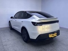 Tesla Model Y Rear-Wheel Drive - фото 5
