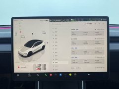Tesla Model Y Rear-Wheel Drive - фото 9