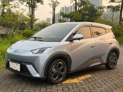 BYD Seagull 305km Freedom Edition - ფოტო 1
