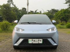 BYD Seagull 305km Freedom Edition - ფოტო 2