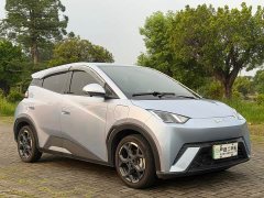 BYD Seagull 305km Freedom Edition - ფოტო 3