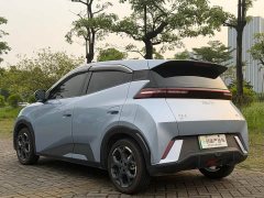 BYD Seagull 305km Freedom Edition - ფოტო 7