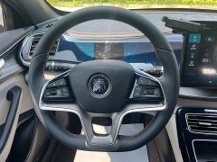 BYD Qin Plus 2021 EV 600KM Flagship - ფოტო 19