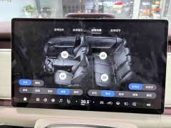 Voyah Lantu Zhiyin Four-Wheel Drive Qiankun Edition - ფოტო 11