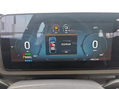 Ford Lingrui New Energy 2025 Platinum Elite - ფოტო 13