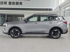 Ford Lingrui New Energy 2025 Platinum Elite - ფოტო 9