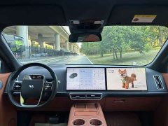 Li Auto Ideal L8 Air - ფოტო 9