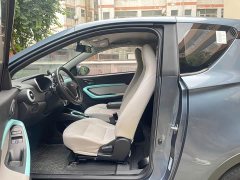 Chery Ant 200,000 Ant Fans Edition Talented Version Ternary Lithium 301km - ფოტო 12