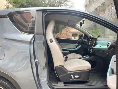 Chery Ant 200,000 Ant Fans Edition Talented Version Ternary Lithium 301km - ფოტო 15