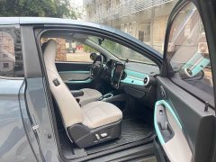 Chery Ant 200,000 Ant Fans Edition Talented Version Ternary Lithium 301km - ფოტო 16