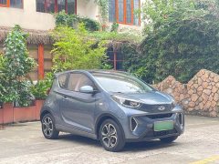 Chery Ant 200,000 Ant Fans Edition Talented Version Ternary Lithium 301km - ფოტო 3