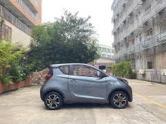 Chery Ant 200,000 Ant Fans Edition Talented Version Ternary Lithium 301km - ფოტო 8
