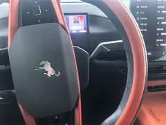 Ford Mustang Mach-E Long Beach Extended Range - ფოტო 12