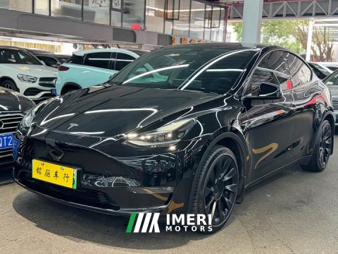 2021 Tesla Model Y Standard Range RWD - ავტომობილი ჩინეთიდან