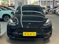 Tesla Model Y Standard Range RWD - ფოტო 2