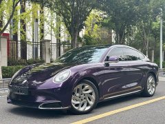 ORA Lightning Cat 555km Deluxe Edition - ფოტო 1