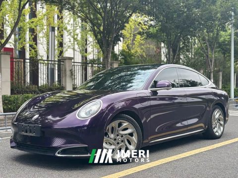 2022 ORA Lightning Cat 555km Deluxe Edition - ავტომობილი ჩინეთიდან