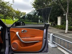 ORA Lightning Cat 555km Deluxe Edition - ფოტო 16