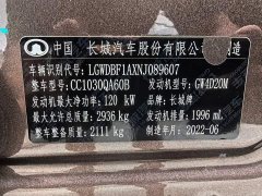 Chery Cannon 2021 2.0T Commercial Auto Diesel 4WD Elite Long Bed GW4D20M - ფოტო 19