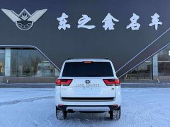 Toyota Land Cruiser (Import) 2023 3.3T Middle East Edition - ფოტო 2