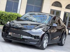 Tesla Model Y Standard Range RWD - ფოტო 1