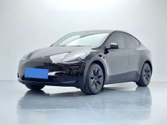 Tesla Model Y Rear-Wheel Drive - ფოტო 1