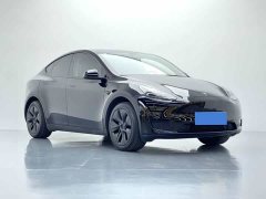 Tesla Model Y Rear-Wheel Drive - ფოტო 3