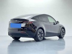 Tesla Model Y Rear-Wheel Drive - ფოტო 6