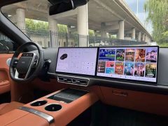 Li Auto L8 Pro - ფოტო 10