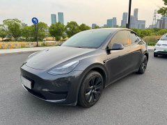 Tesla Model Y Rear-Wheel Drive - ფოტო 1