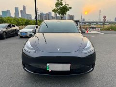 Tesla Model Y Rear-Wheel Drive - ფოტო 2