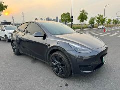 Tesla Model Y Rear-Wheel Drive - ფოტო 3