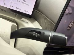 Great Wall WEY Shanshan New Energy Four-Wheel Drive Shanshan 8 - ფოტო 14