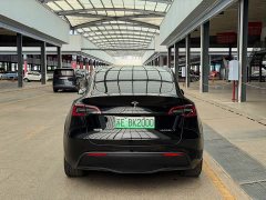 Tesla Model Y 2023 Long Range All-Wheel Drive - ფოტო 11