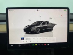 Tesla Model 3 2022 Rear-Wheel Drive - ფოტო 14