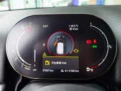 BMW MINI Countryman 2.0T Cooper S ALL4 Connoisseur Edition - ფოტო 11