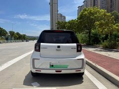 Flower Fairy Huaxianzi 302km Chaoyue Edition 31.4kWh - photo 10