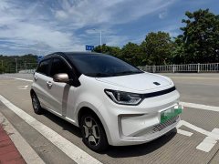 Flower Fairy Huaxianzi 302km Chaoyue Edition 31.4kWh - photo 3