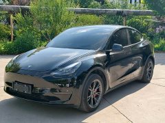 Tesla Model Y Rear-Wheel Drive - ფოტო 1