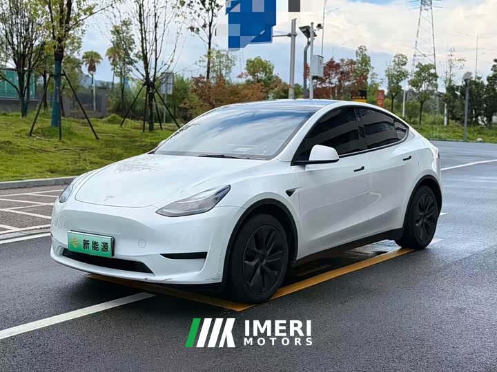 Tesla Model Y Rear-Wheel Drive - ავტომობილი ჩინეთიდან